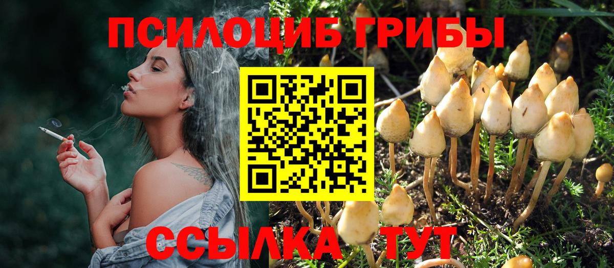 Верхний Уфалей  Галлюциногенные грибы прущие грибы  Вход с VPN 
