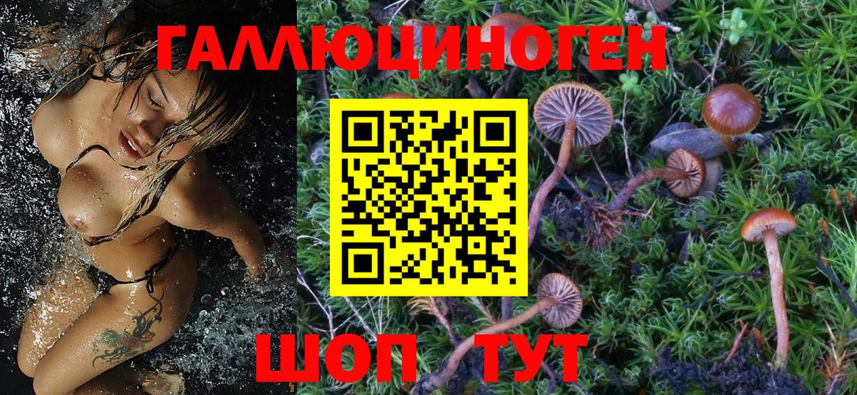 Галлюциногенные грибы Magic Shrooms Верхний Уфалей